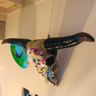 Cow skullの画像
