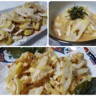 今期終了  大名竹(でめだけ)  3㎏の画像