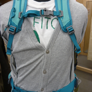 お値下げ！THE NORTH FACE ノースフェイス テルス30 イオンブルー NMW61308 30L ウィメンズ Ｍ バックパック リュック 登山　札幌　西岡店の画像