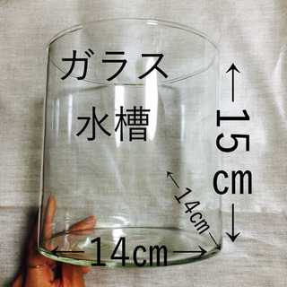 鑑賞魚用ポット ベタ等にいかがですか?