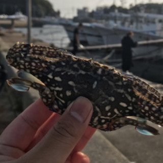 釣り釣り釣り
