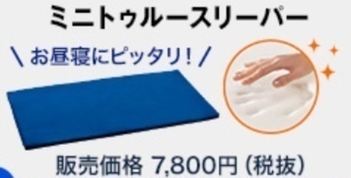 ミニトゥルースリーパー ごろ寝マット