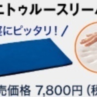 ミニトゥルースリーパー ごろ寝マット