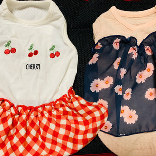 小型犬のわんちゃんのお洋服(3枚)の画像