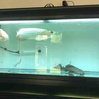 KOTOBUKI 水槽 1200×450×450 セット 今月引き取り限定値下