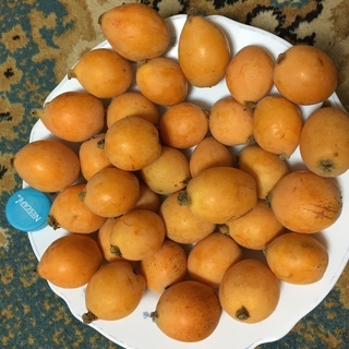 自慢のびわ　500ｇ500円　あと残り500ｇです