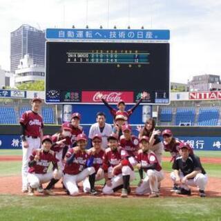 【急募】横浜スタジアムで草野球しませんか？✨
