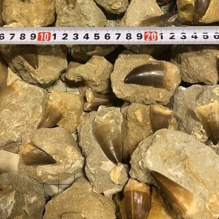 【全国対応可！お子様に大人気！】フリーマーケット、各種イベントで水晶・化石発掘体験＆物販イベントを行いませんか？ − 愛知県