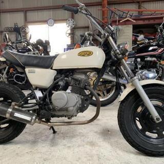 【キック一発】HONDA  Ape エイプ50 実働
