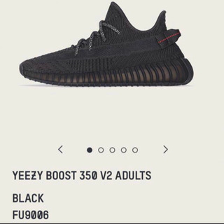 yeezy boost 350 v2 black 29.0cmの画像