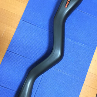 エスレッチングポール