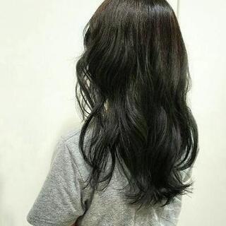 ヘアカラーモデル募集しております！ - 美容