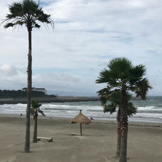 波の良いところに一緒に行きませんか🏄‍♂️🌊ハイエースあり - スポーツ