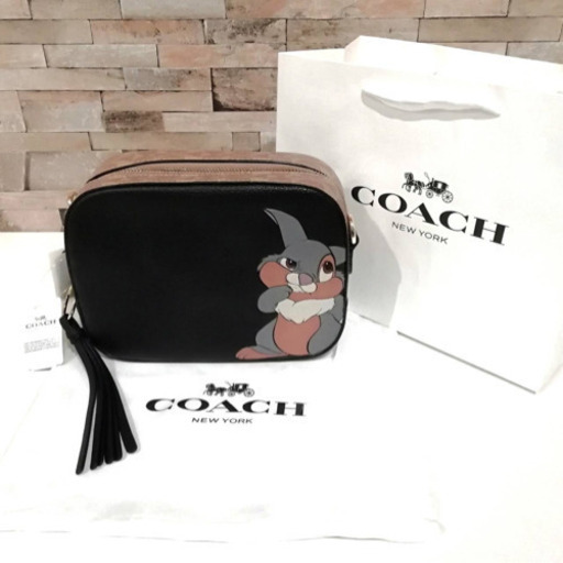 DISNEY X COACH カメラ バッグ ウィズ タンパー
