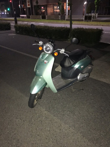 期間限定販売トゥデイ4スト