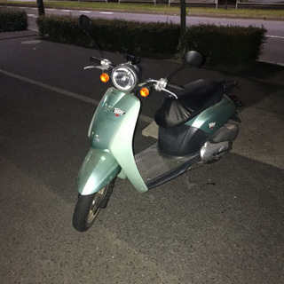 期間限定販売トゥデイ4スト