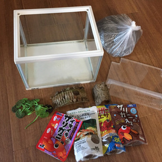 サリガニ飼育セットの画像