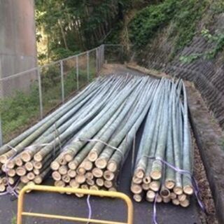 孟宗竹を探しています、竹林を無料で間伐します