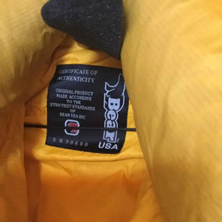 Bear USA ダウンジャケットの画像