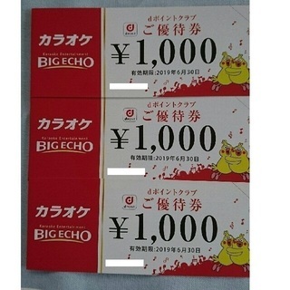 カラオケビッグエコー　優待券3000円分