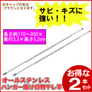 オールステンレス物干し竿 ハンガー掛付き アイリスオーヤマ