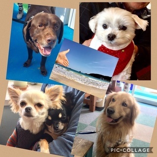 ペンション客室掃除、各種8月半ばからも募集中!通年の画像