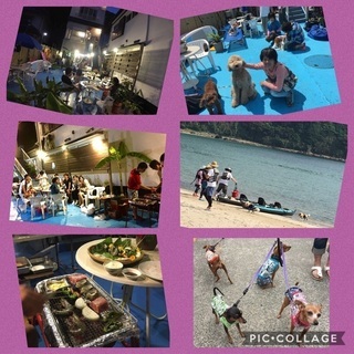 ペンション客室掃除、各種8月半ばからも募集中!通年の画像