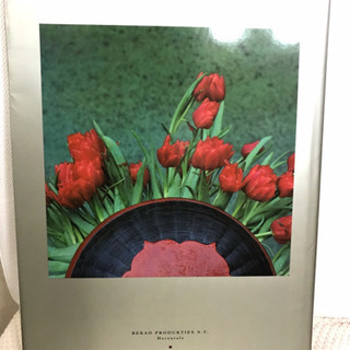 ダニエルオスト　第5作品目作品集　EAST.WEST 花の建築家 ダニエル・オスト 「華やかなる花の小宇宙」展