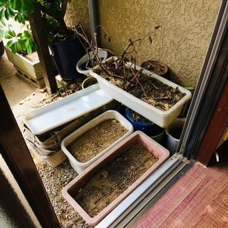 ★大量★ プランター 植木鉢 庭 レンガ ブロック 石畳 ガーデニング 植物 DIY 廃材の画像