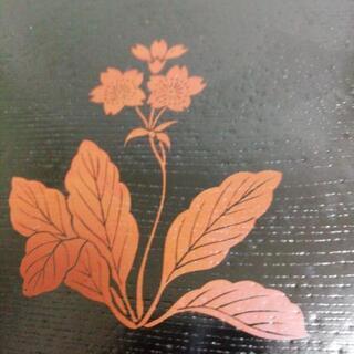 皿四角5枚の画像