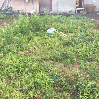小田原近くの方で畑にご興味のある方
