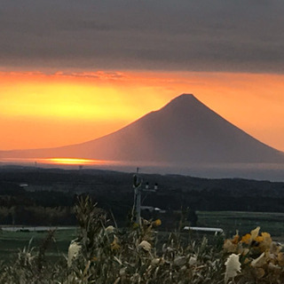 悩み、愚痴なんでも聞きますよ(^^)