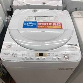 2019年モデルの高年式洗濯機！綺麗です！6.0キロタイプ