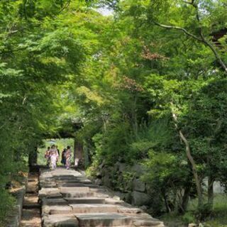 写真を撮りに行きましょう。フォトコンテスト出展を目指します。
