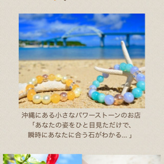 オーガニック、マクロビ、ベジタリアン、健康料理、調理好きの方へ - つくば