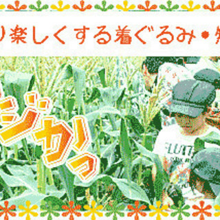 ひるぜんの畑でトウモロコシ狩りしてみませんか？(無料）の画像