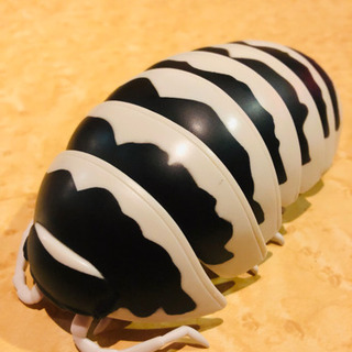 ダンゴムシガチャ モナコ ゼブラダンゴムシ レアキャラ