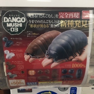 ダンゴムシ第三弾 ガチャガチャ  アルビノ、黒、茶