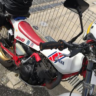 格安！ ヤマハ 250cc スコティッシュ トライアル車 30年物  バイクの画像