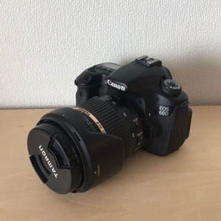 Canon EOS 60D レンズ TAMRON SP 17-50mm F2.8