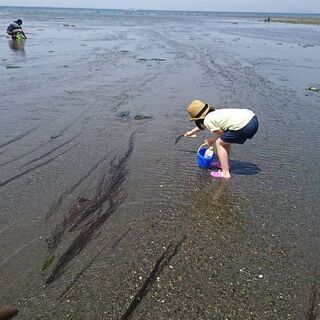6/22(土)潮干狩り行きませんか(..)！？