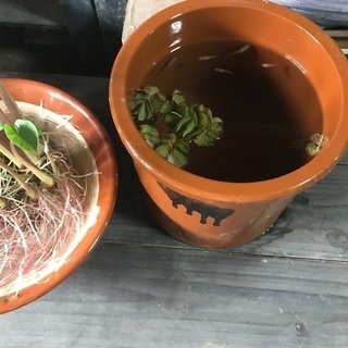 常滑焼　久松釜　漬物タル(ふたなし) 昭和レトロ