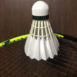 バドミントンメンバー募集🤗🏸