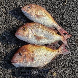 釣りグルチャ募集‼