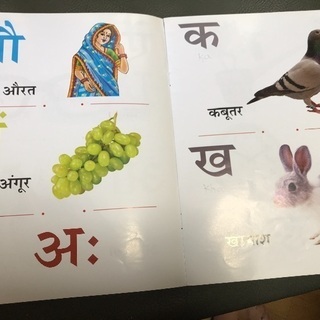 ヒンディー語をプロの先生から学びましょう—Learn Hindi with a Professional Teacherの画像