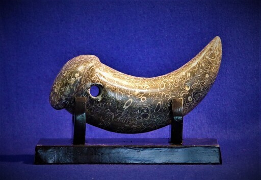 3.2kg！　貝類化石群集の牙型勾玉　曲玉　大型