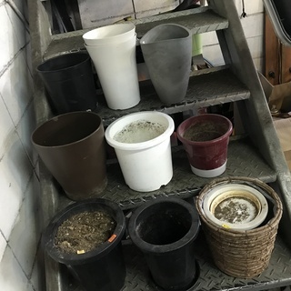 プランター各種差し上げます。　の画像