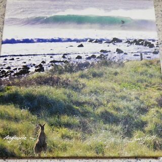 壁掛け写真　from オーストラリア🇦🇺