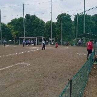 男子、女子ソフトボールのメンバー募集! − 神奈川県