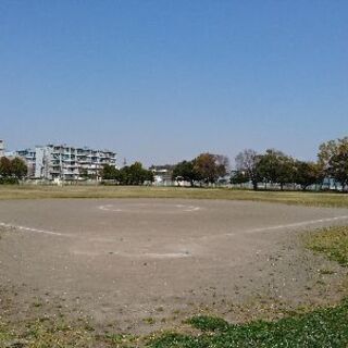 男子、女子ソフトボールのメンバー募集!の画像